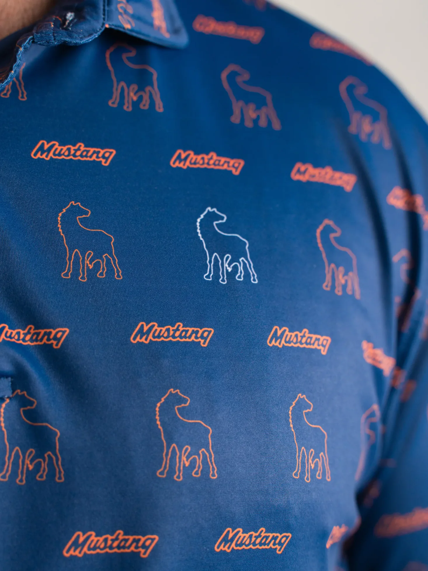 Close view of a Mustang polo horse pattern